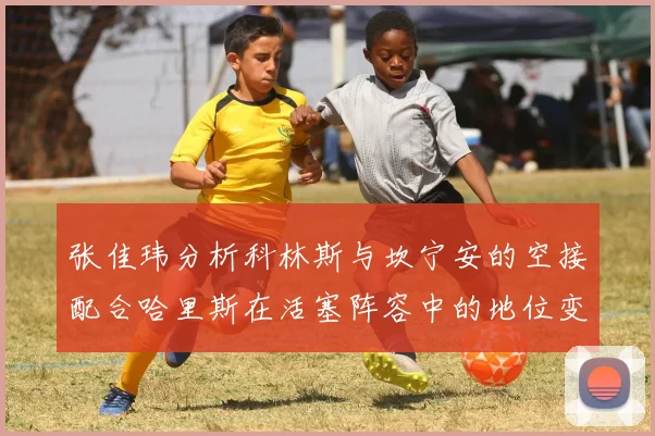 张佳玮分析科林斯与坎宁安的空接配合哈里斯在活塞阵容中的地位变化