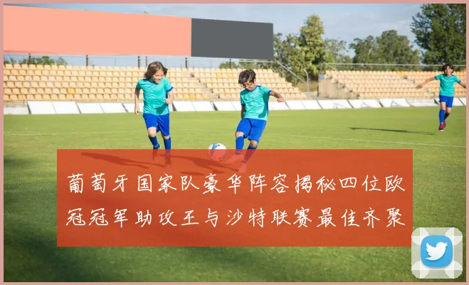 葡萄牙国家队豪华阵容揭秘四位欧冠冠军助攻王与沙特联赛最佳齐聚一堂